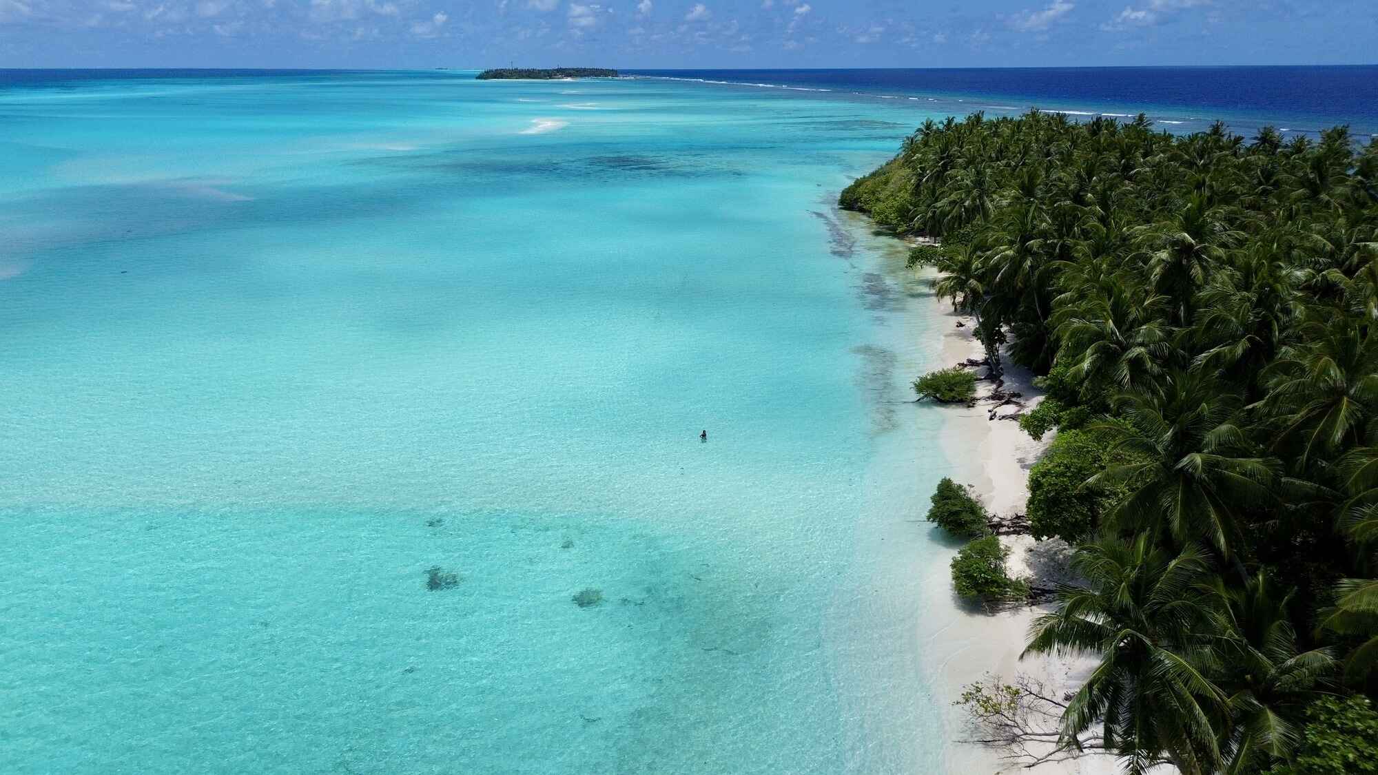 Fehendhoo